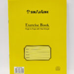 EB W/O PVC 21 X 16 CMS PTP 100'S
